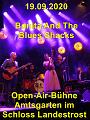 A Bonita And The Blues Shacks H_